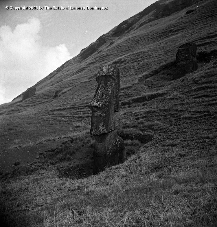 RRE_Angel_16.jpg - Easter Island. 1960. Two moai on the exterior slope of Rano Raraku. On the foreground, the moai identified by Lorenzo Dominguez as "The Angel."